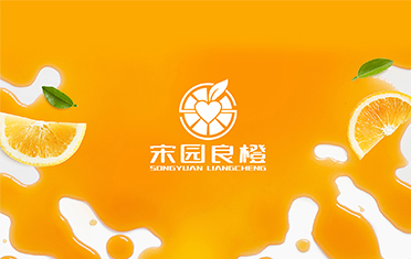 某良橙——徐州LOGO设计